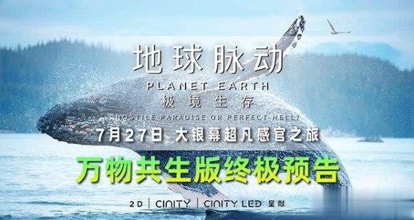 世博体育app下载离别呈现了当然之声、海洋之景、动物之行三种主题-世博官方体育app下载(官方)官方网站·IOS/安卓通用版/手机版