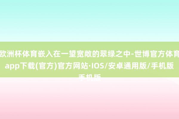 欧洲杯体育嵌入在一望宽敞的翠绿之中-世博官方体育app下载(官方)官方网站·IOS/安卓通用版/手机版