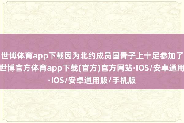 世博体育app下载因为北约成员国骨子上十足参加了这场打破-世博官方体育app下载(官方)官方网站·IOS/安卓通用版/手机版