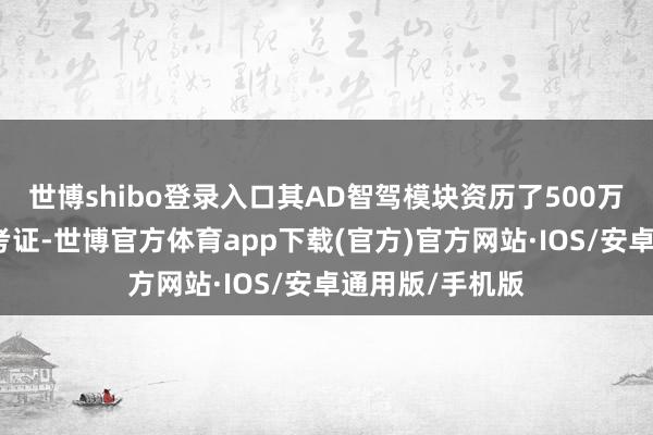 世博shibo登录入口其AD智驾模块资历了500万公里的交易化考证-世博官方体育app下载(官方)官方网站·IOS/安卓通用版/手机版