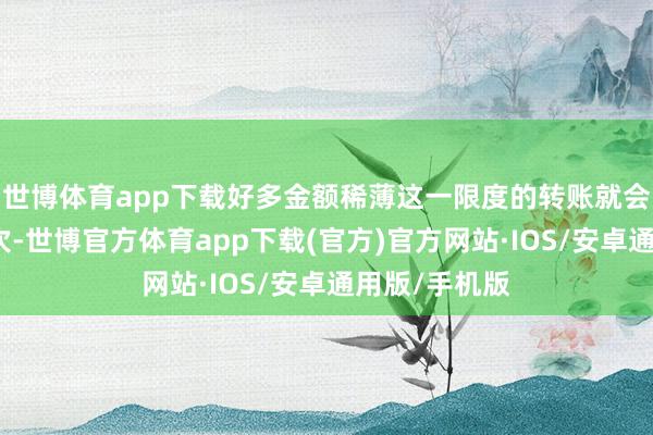 世博体育app下载好多金额稀薄这一限度的转账就会被拆分红屡次-世博官方体育app下载(官方)官方网站·IOS/安卓通用版/手机版
