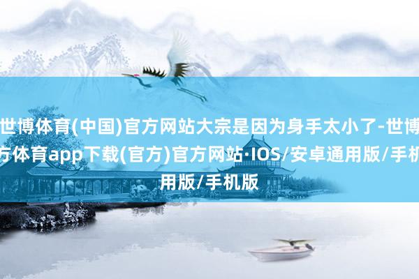 世博体育(中国)官方网站大宗是因为身手太小了-世博官方体育app下载(官方)官方网站·IOS/安卓通用版/手机版