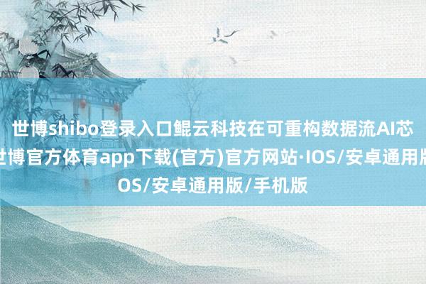 世博shibo登录入口鲲云科技在可重构数据流AI芯片范畴-世博官方体育app下载(官方)官方网站·IOS/安卓通用版/手机版