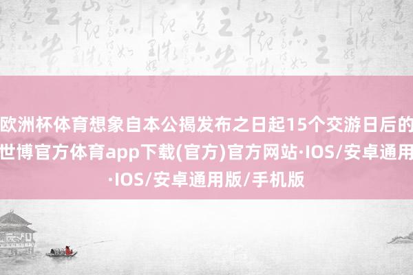 欧洲杯体育想象自本公揭发布之日起15个交游日后的三个月内-世博官方体育app下载(官方)官方网站·IOS/安卓通用版/手机版