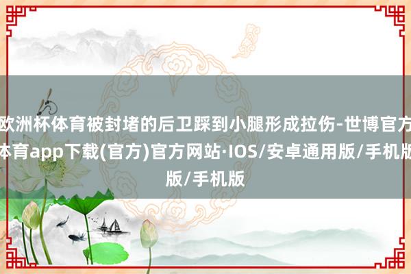 欧洲杯体育被封堵的后卫踩到小腿形成拉伤-世博官方体育app下载(官方)官方网站·IOS/安卓通用版/手机版