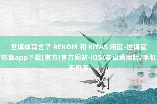世博体育含了 REKOM 和 KITAS 用度-世博官方体育app下载(官方)官方网站·IOS/安卓通用版/手机版
