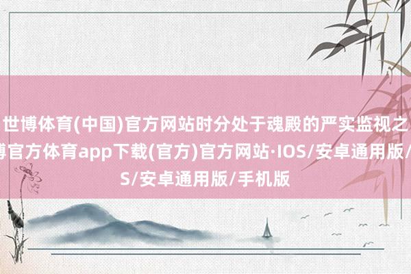 世博体育(中国)官方网站时分处于魂殿的严实监视之下-世博官方体育app下载(官方)官方网站·IOS/安卓通用版/手机版