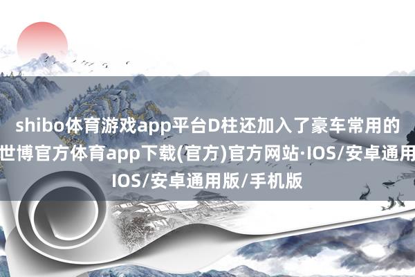 shibo体育游戏app平台D柱还加入了豪车常用的舷窗策动-世博官方体育app下载(官方)官方网站·IOS/安卓通用版/手机版