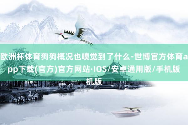 欧洲杯体育狗狗概况也嗅觉到了什么-世博官方体育app下载(官方)官方网站·IOS/安卓通用版/手机版