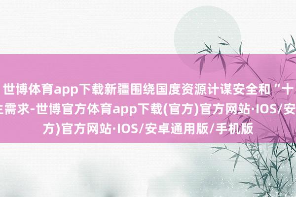 世博体育app下载新疆围绕国度资源计谋安全和“十大产业集群”诞生需求-世博官方体育app下载(官方)官方网站·IOS/安卓通用版/手机版