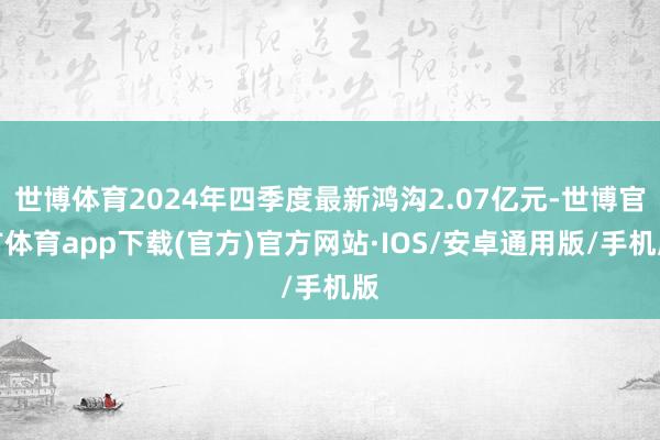 世博体育2024年四季度最新鸿沟2.07亿元-世博官方体育app下载(官方)官方网站·IOS/安卓通用版/手机版