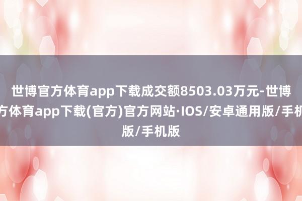 世博官方体育app下载成交额8503.03万元-世博官方体育app下载(官方)官方网站·IOS/安卓通用版/手机版