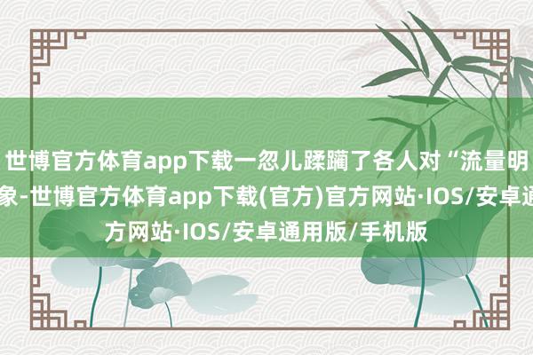 世博官方体育app下载一忽儿蹂躏了各人对“流量明星”的刻板印象-世博官方体育app下载(官方)官方网站·IOS/安卓通用版/手机版