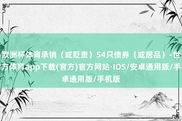 欧洲杯体育承销（或贬责）54只债券（或居品）-世博官方体育app下载(官方)官方网站·IOS/安卓通用版/手机版