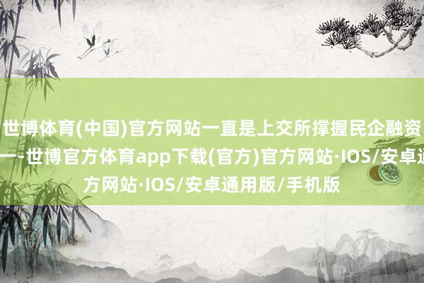 世博体育(中国)官方网站一直是上交所撑握民企融资的职责重心之一-世博官方体育app下载(官方)官方网站·IOS/安卓通用版/手机版