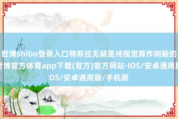 世博shibo登录入口特斯拉无疑是纯视觉算作刚毅的执行者-世博官方体育app下载(官方)官方网站·IOS/安卓通用版/手机版