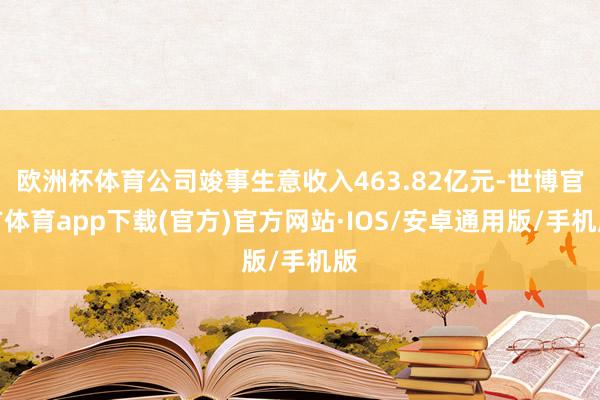 欧洲杯体育公司竣事生意收入463.82亿元-世博官方体育app下载(官方)官方网站·IOS/安卓通用版/手机版