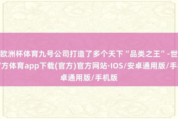 欧洲杯体育九号公司打造了多个天下“品类之王”-世博官方体育app下载(官方)官方网站·IOS/安卓通用版/手机版