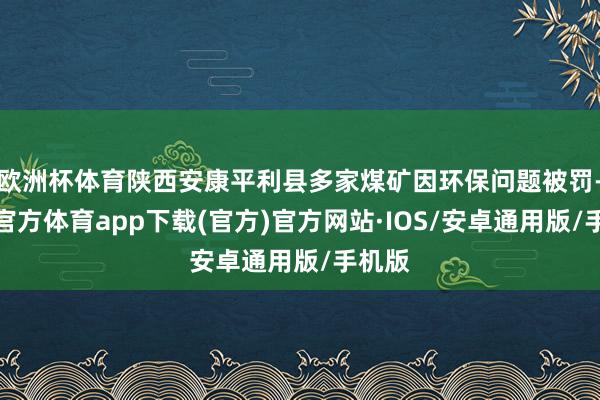 欧洲杯体育陕西安康平利县多家煤矿因环保问题被罚-世博官方体育app下载(官方)官方网站·IOS/安卓通用版/手机版