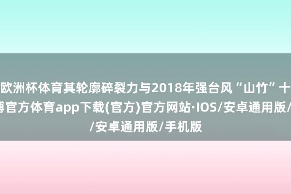 欧洲杯体育其轮廓碎裂力与2018年强台风“山竹”十分-世博官方体育app下载(官方)官方网站·IOS/安卓通用版/手机版