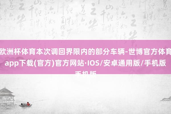 欧洲杯体育本次调回界限内的部分车辆-世博官方体育app下载(官方)官方网站·IOS/安卓通用版/手机版