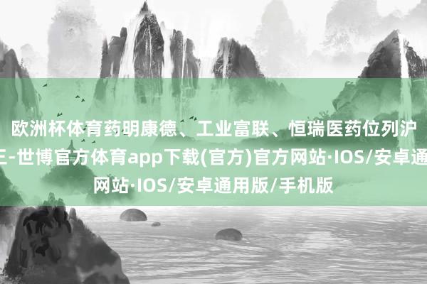 欧洲杯体育　　药明康德、工业富联、恒瑞医药位列沪股通成交前三-世博官方体育app下载(官方)官方网站·IOS/安卓通用版/手机版