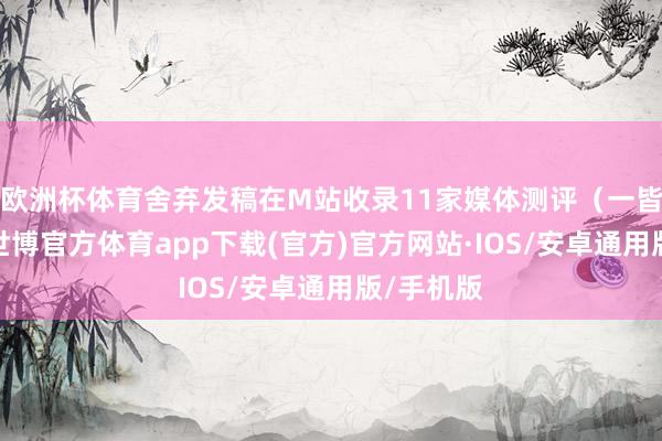 欧洲杯体育舍弃发稿在M站收录11家媒体测评（一皆好评）-世博官方体育app下载(官方)官方网站·IOS/安卓通用版/手机版