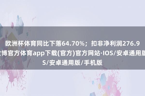 欧洲杯体育同比下落64.70%；扣非净利润276.96万元-世博官方体育app下载(官方)官方网站·IOS/安卓通用版/手机版