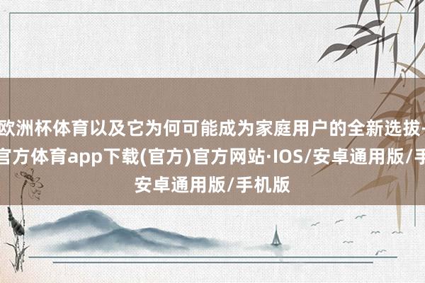 欧洲杯体育以及它为何可能成为家庭用户的全新选拔-世博官方体育app下载(官方)官方网站·IOS/安卓通用版/手机版