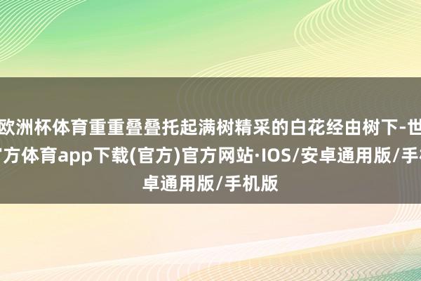 欧洲杯体育重重叠叠托起满树精采的白花经由树下-世博官方体育app下载(官方)官方网站·IOS/安卓通用版/手机版