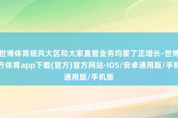 世博体育统共大区和大家直管业务均罢了正增长-世博官方体育app下载(官方)官方网站·IOS/安卓通用版/手机版