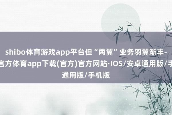 shibo体育游戏app平台但“两翼”业务羽翼渐丰-世博官方体育app下载(官方)官方网站·IOS/安卓通用版/手机版