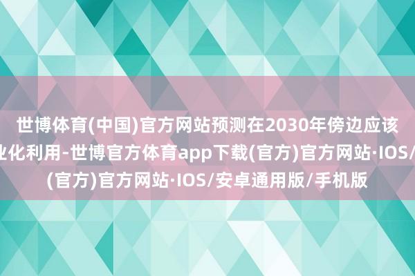 世博体育(中国)官方网站预测在2030年傍边应该会有比拟平静的营业化利用-世博官方体育app下载(官方)官方网站·IOS/安卓通用版/手机版