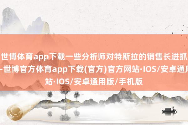 世博体育app下载一些分析师对特斯拉的销售长进抓乐不雅格调-世博官方体育app下载(官方)官方网站·IOS/安卓通用版/手机版