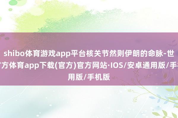 shibo体育游戏app平台核关节然则伊朗的命脉-世博官方体育app下载(官方)官方网站·IOS/安卓通用版/手机版