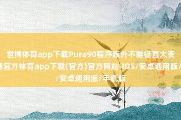 世博体育app下载Pura90程序版外不雅径直大变样-世博官方体育app下载(官方)官方网站·IOS/安卓通用版/手机版