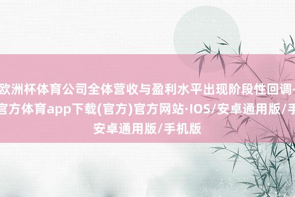 欧洲杯体育公司全体营收与盈利水平出现阶段性回调-世博官方体育app下载(官方)官方网站·IOS/安卓通用版/手机版